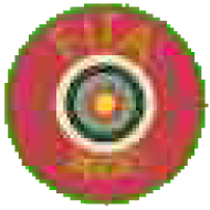 fita target 650